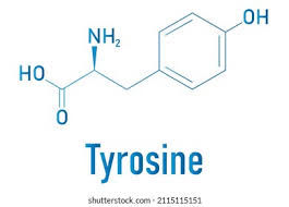 L-Tyrosine